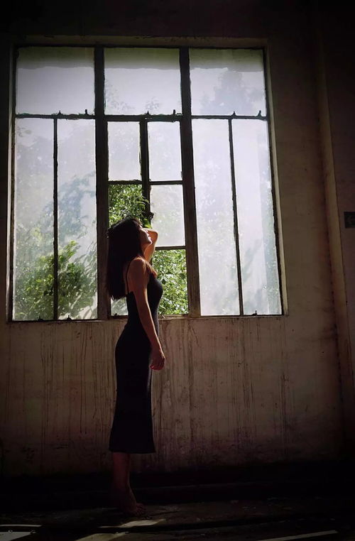 沈岸挽回初夏视频,沈岸努力挽回初夏，网友直呼感人