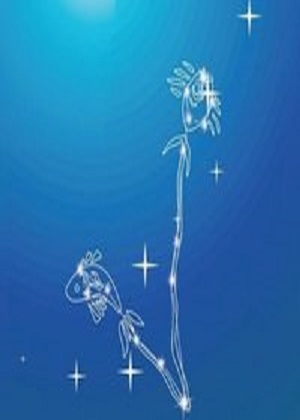 双鱼挽回感情无果,双鱼想挽回感情但面临困境