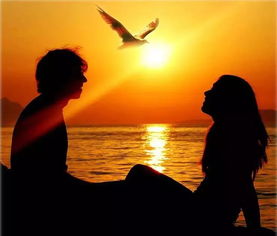 线下执行实战挽回感情,实战挽回感情：现实生活中的执行策略)