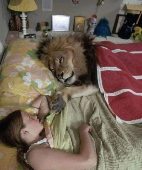 怎样挽回已婚狮子男,如何挽回已婚的狮子男