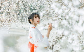 挽回旧爱复合图,怀旧之旅，挽回旧爱，达成复合