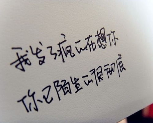 我不想挽回你说说,放下属于你的爱。