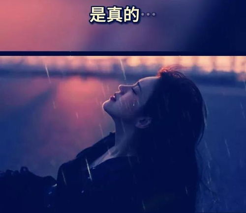 明知道挽回不了,明知无望，还想挽回——怎么办？