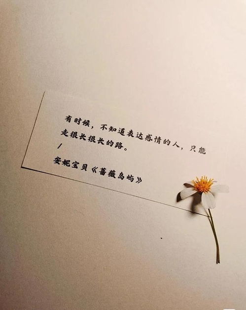 暗含挽回文案句子,用心挽回，重拾爱情：经典文案句子精选