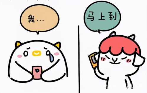 挽回中对方不理你,如何让TA重新关注你