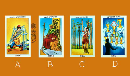 塔罗牌测挽回爱情准,挽回爱情，探究塔罗牌
