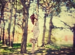 成果的不可挽回特点，失去的果实：成果离散的不归路