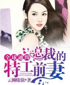 小说霸道总裁挽回前妻,挽回前妻：霸道总裁的复仇计划