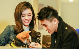 挽回前女友求婚,求婚成功！成功挽回前女友