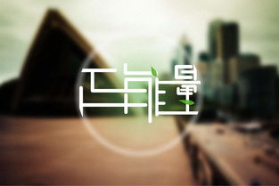 王大爷挽回尊严视频,老人与不屈的精神