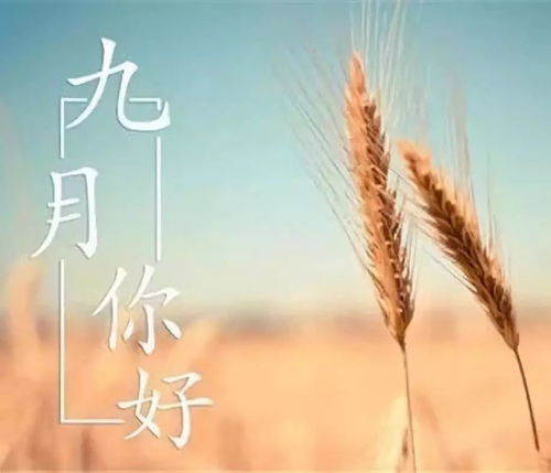 怎样挽回友谊的句子，友谊的修复之道：如何挽回破裂的情谊