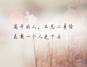 我爱你无法挽回,爱情已成往事，无法挽回