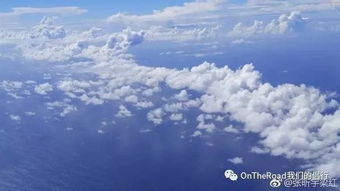 北京女子飞新西兰挽回,北京女子为挽回爱情飞往新西兰