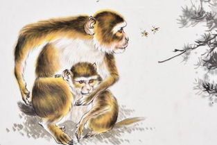 怎么挽回属猴男人,如何成功挽回属猴男人