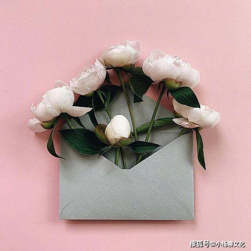 挽回高级表白情话简短,打动心上人的短小情话