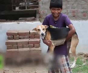 狗男怎么挽回婚姻,教你成功挽回婚姻的神奇方法