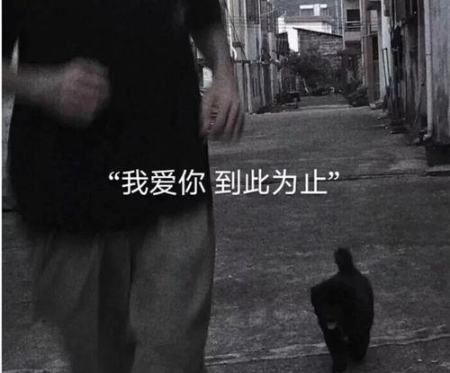 暗示挽回前任的句子简短，如何成功挽回你的前任？