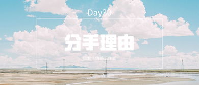 挽回一百天计划ppt,100天重振计划：挽回失落目标PPT