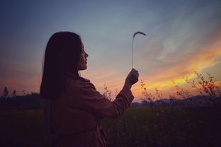 射手不爱你怎么挽回,挽回失落射手座的爱情