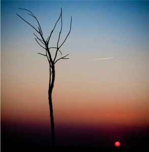 吵架分手怎么挽回女生,如何挽回分手女生的心