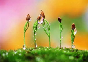 挽回女生的早安话,如何挽回女生的心