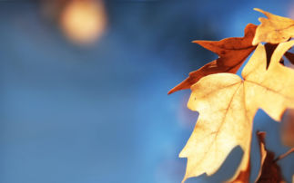 男生忽冷忽热该怎么挽回,如何挽回男生的忽冷忽热？