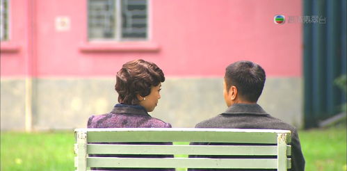 残疾姑娘挽回爱情电影，一首歌，改变她的命运——残疾姑娘的爱情求索