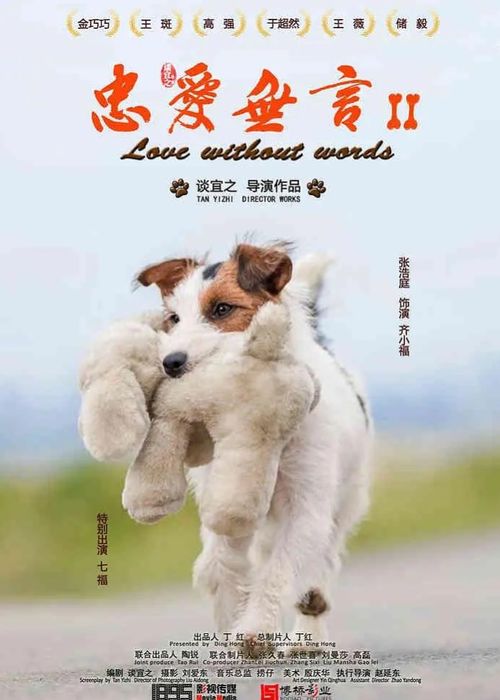 挽回之爱无处寻的动物,怎样挽回失落的爱：动物版)