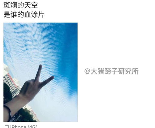 小鹿情感官方挽回,小鹿情感：挽回爱情的专业服务