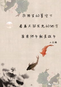 感谢挽回情人的文章,感恩挽回爱情