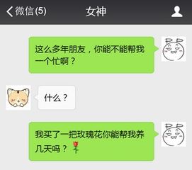 怎样挽回表白被拒,如何有效挽回被拒绝的表白