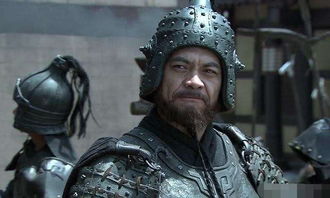 诸葛亮无力挽回,诸葛亮无力解救，形势岌岌可危