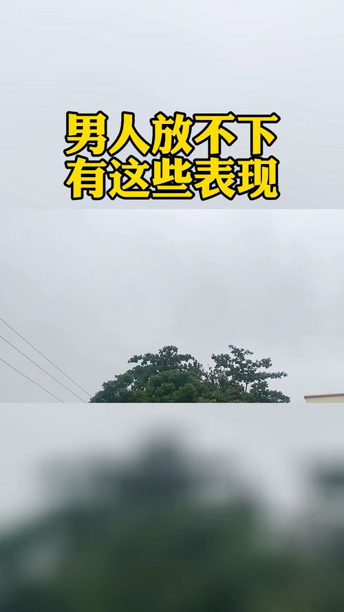 宜城想要挽回感情咨询,宜城求助感情挽回