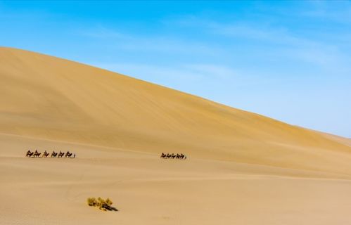 失而复得的挽回句子,重获信任：挽回一失足成千古恨之事