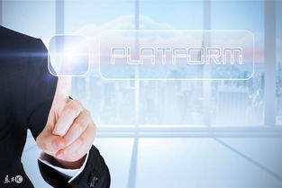 如何挽回滑档志愿,教你恢复志愿测评滑落的秘诀