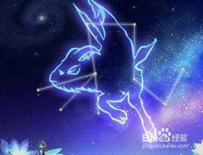 双鱼座挽回摩羯座,如何让摩羯座重新爱上双鱼座