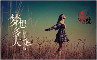 对方有新欢挽回期，失败挽回：对方已有新目标