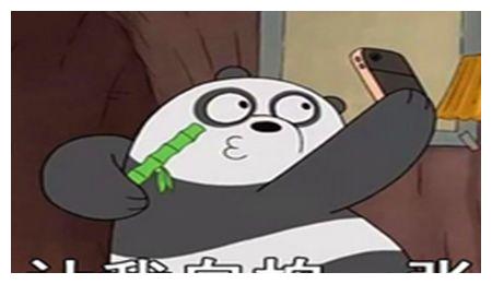 猪小明挽回女朋友，猪小明挽回失落爱情，再续前缘