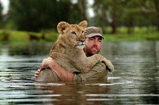 如何挽回成熟狮子男生,如何挽回成熟的狮子男