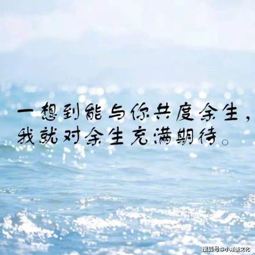 情人挽回文案句子,如何成功挽回失去的爱人