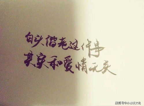 越理性越容易挽回,如何理性挽回一段感情