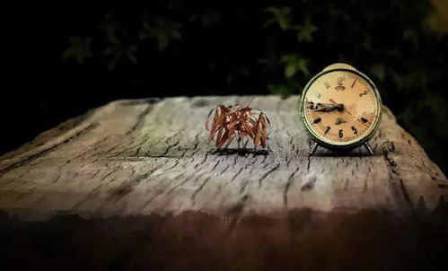 卑微挽回被厌恶了,如何挽回被厌恶的人心？