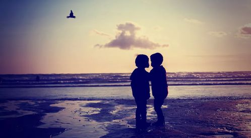 道歉了怎么挽回友情，重建友谊：诚恳的道歉与挽回