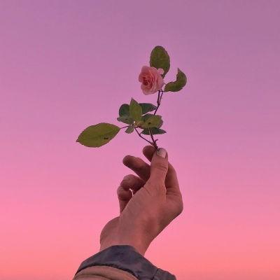 怎么挽回友情的句子,如何挽回破裂的友谊