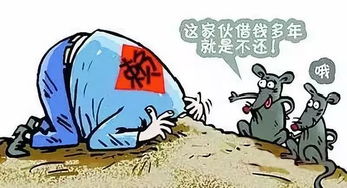 输钱了可以挽回吗,输掉的钱能否追回？