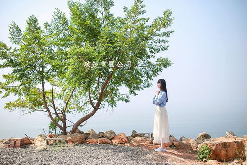 挽回爱情图片唯美壁纸,唯美爱情壁纸，帮你挽回感情