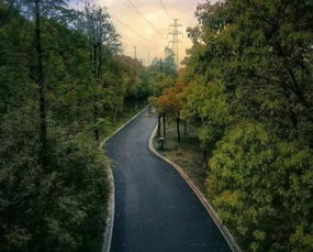 闽侯情感挽回在线咨询,闽侯情感挽回在线咨询-重新点亮爱情之火