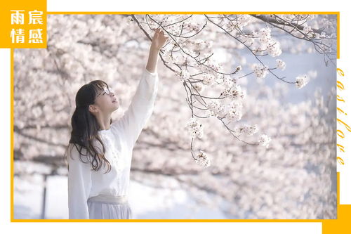 卑微挽回前女友的话,挽回前女友的话