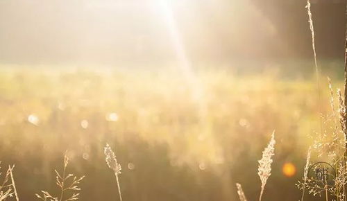 无疾而终感情能挽回吗,感情无因而止，还有挽回的机会吗？