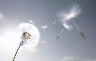 反撇挽回对方测试,“测试”挽回不了爱情，如何才能让感情重燃？